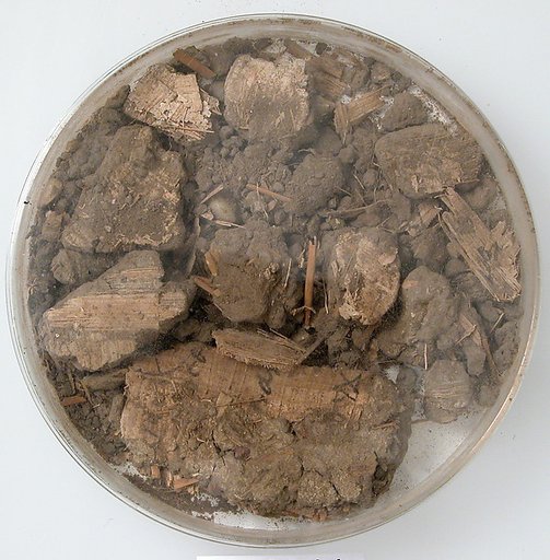 Papyri Fragments and Mud