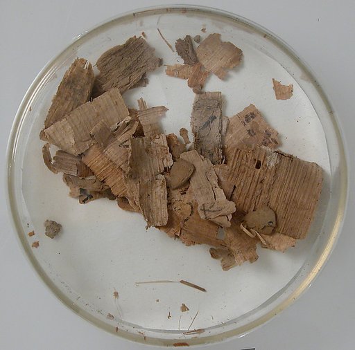 Papyri Fragments
