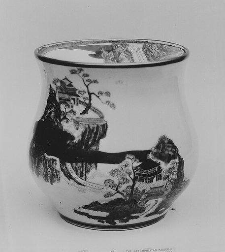 Water pot and cover
