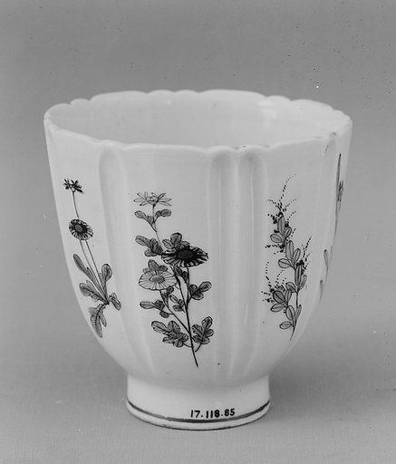 Cup