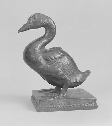 Young Duck