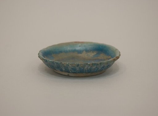 Dish