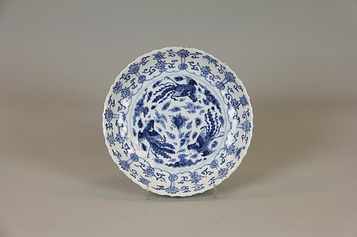 Dish