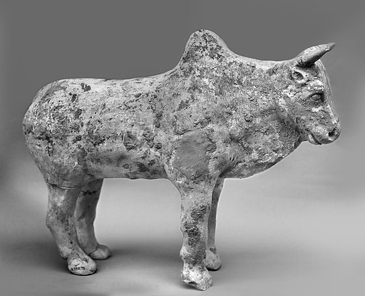 Ox