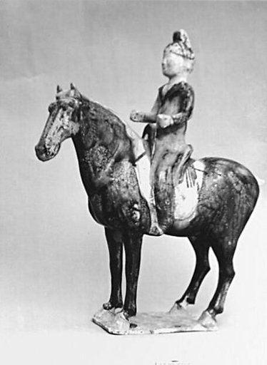 Horse and rider