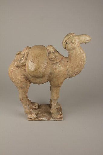 Two camels