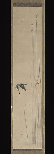 Kingfisher and Bulrushes