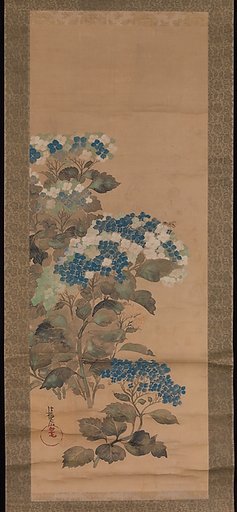 Hydrangeas