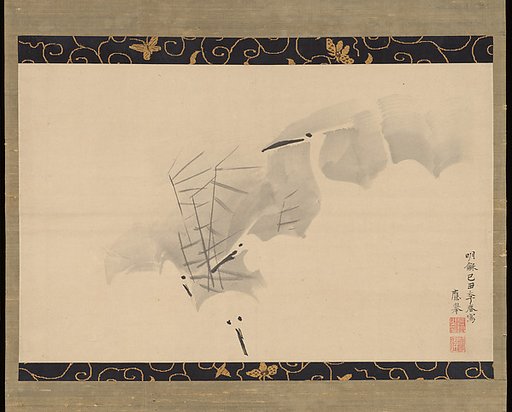 White Herons