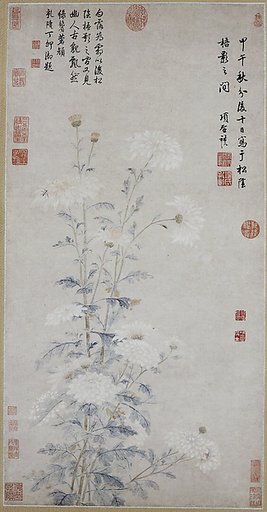 White Chrysanthemums