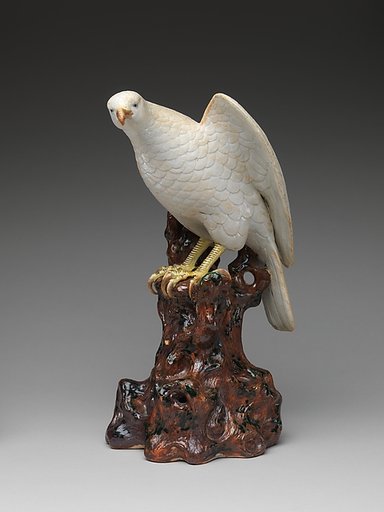 Hawk on a Tree Stump