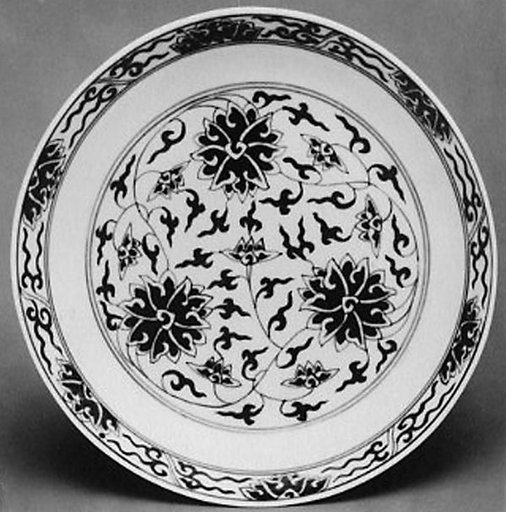Dish