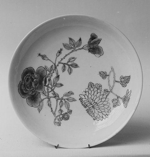 Saucer