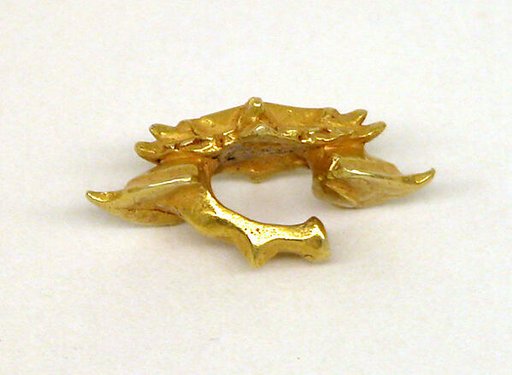 Ear Ornament