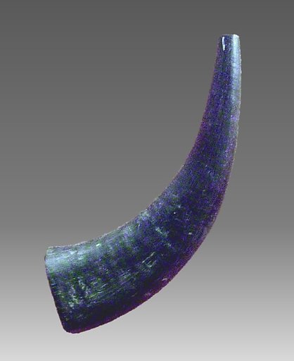 Horn