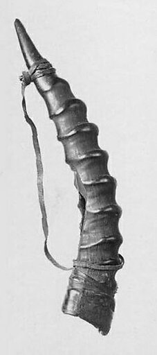 Horn