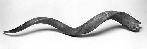 Kudu Horn