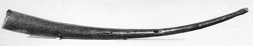 Horn