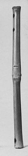 Transverse Flute
