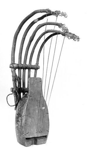 Pluriarc