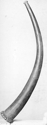 Horn