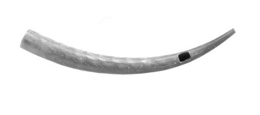 Horn