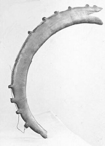 Horn