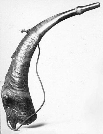 Reed Horn