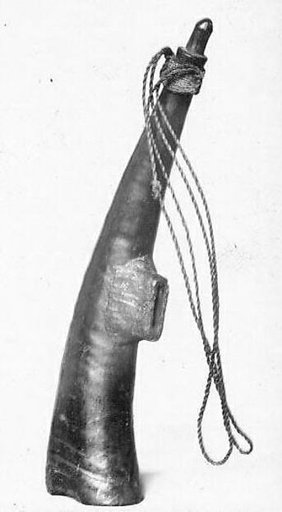 Horn