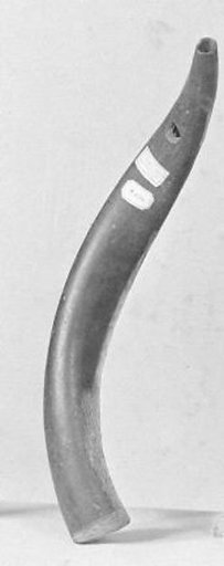 Horn
