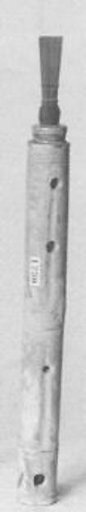 Tibia