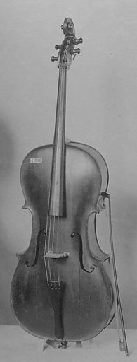 Violoncello