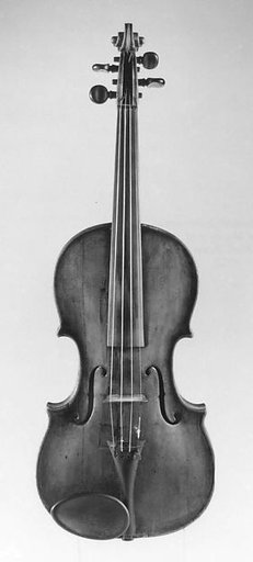 Violin