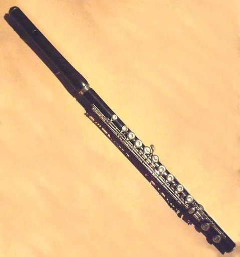 Transverse Flute