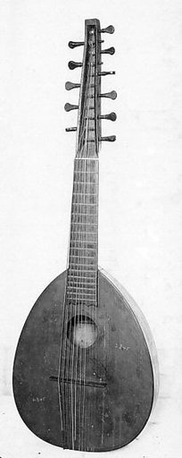 Arch Cittern
