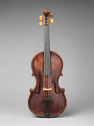 Viola
