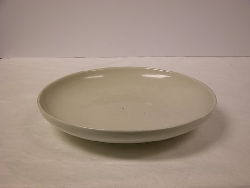 Dish