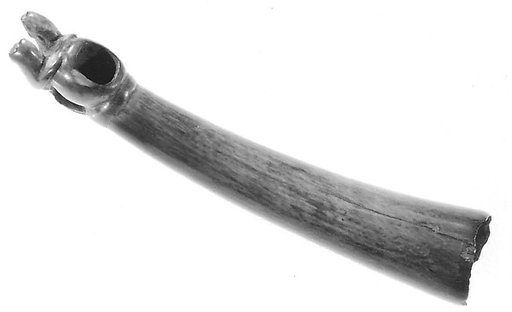 Horn