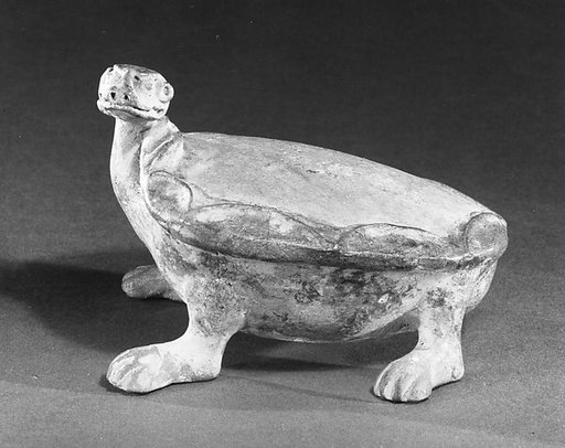 Tortoise