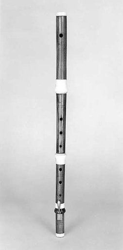 Transverse Flute in D