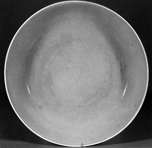 Dish