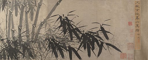 Bamboo