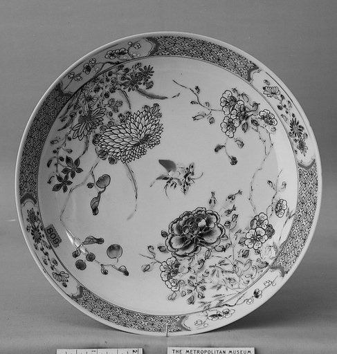 Dish