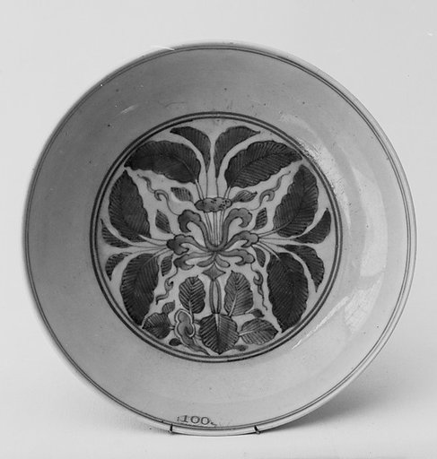 Dish
