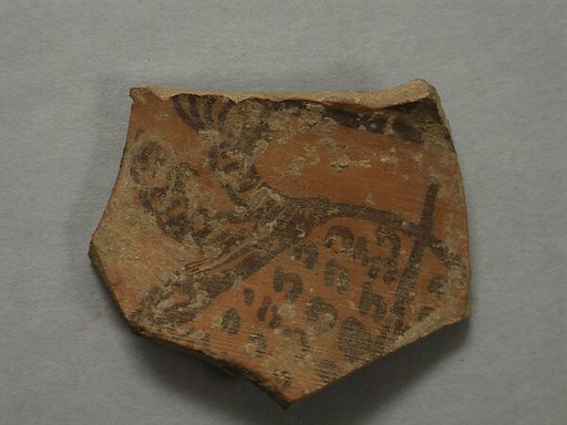 Shard:  Forepaws of Spotted Carnivore