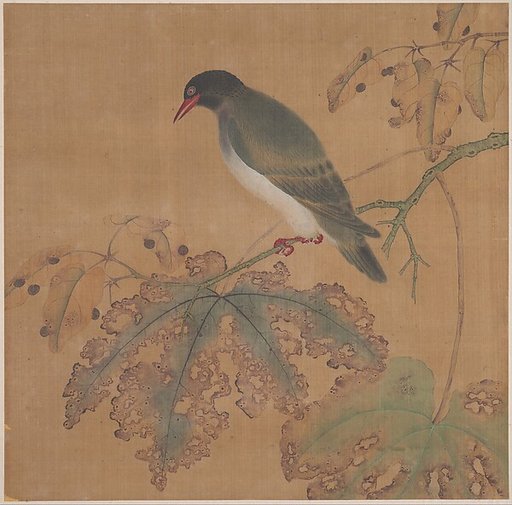 Bird on Branch