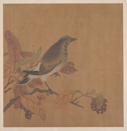 Bird on Branch