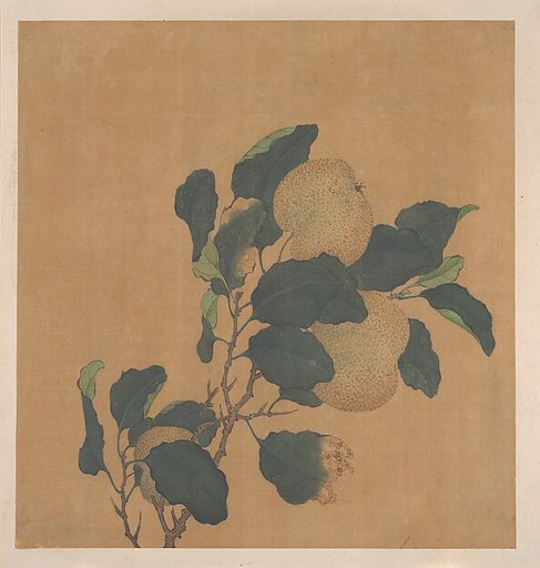 Branch of Tree with Fruit