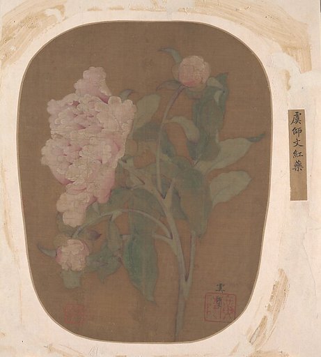 Peony Flower and Leaves