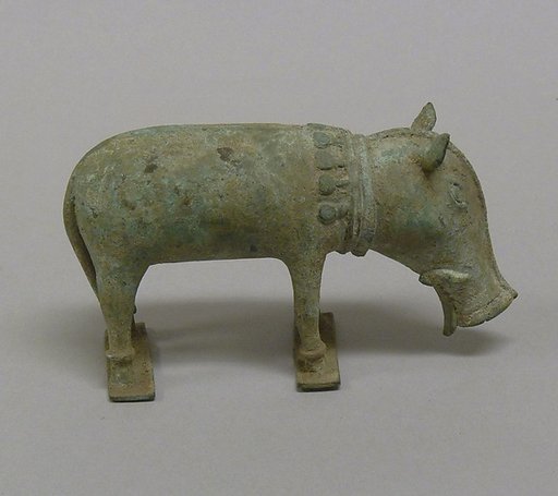 Pig
